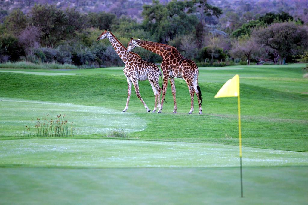Royal Game Guest House Phalaborwa Exterior foto